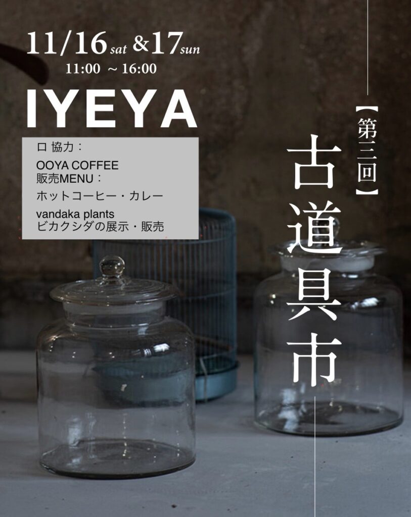 ビカクシダ vandaka plants バンダカ プランツ platycerium 京都 いえ屋 iyeya オオヤコーヒー カレー コーヒー アンティークantique 骨董 京町家 古道具 骨董市 不動産 イベント