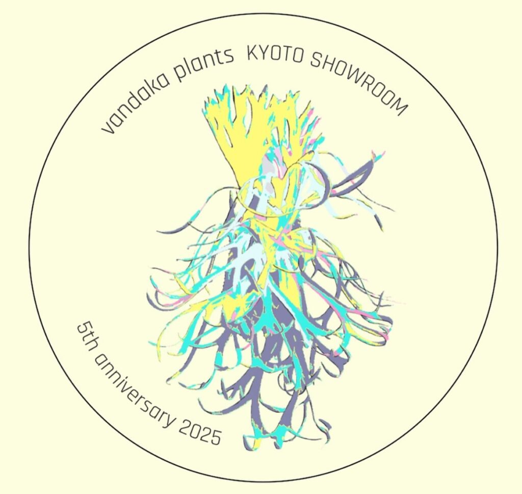ビカクシダ 専門店 vandaka plants バンダカ プランツ platycerium KYOTO SHOWROOM 京都店 ショウルーム オープンデイ 営業日 Mt.Lewis マウントルイス aroid philodendron anthurium monstera アロイド フィロデンドロン アンスリウム モンステラ コルク 販売 コウモリラン 京町家 古民家 町家建築 5周年 記念 イベント anniversary ノベルティ プレゼント