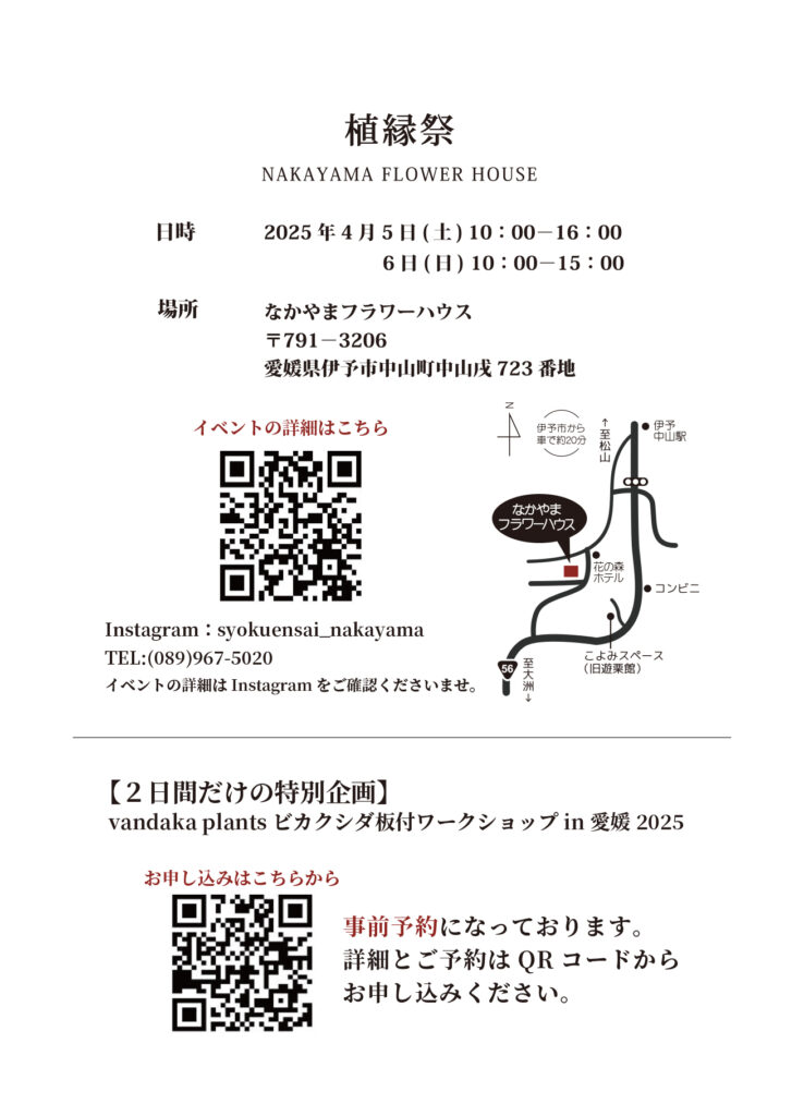 ビカクシダ vandaka plants バンダカ プランツ platycerium  ビザールプランツ 珍奇植物 植物イベント 販売 コウモリラン  agave アガベ codex コーデックス ブロメリア チランジア bromeliad tillandsia サボテン  cactus 植縁祭 愛媛 i伊予市 植物イベント なかやまフラワーハウス 板付ワークショップ